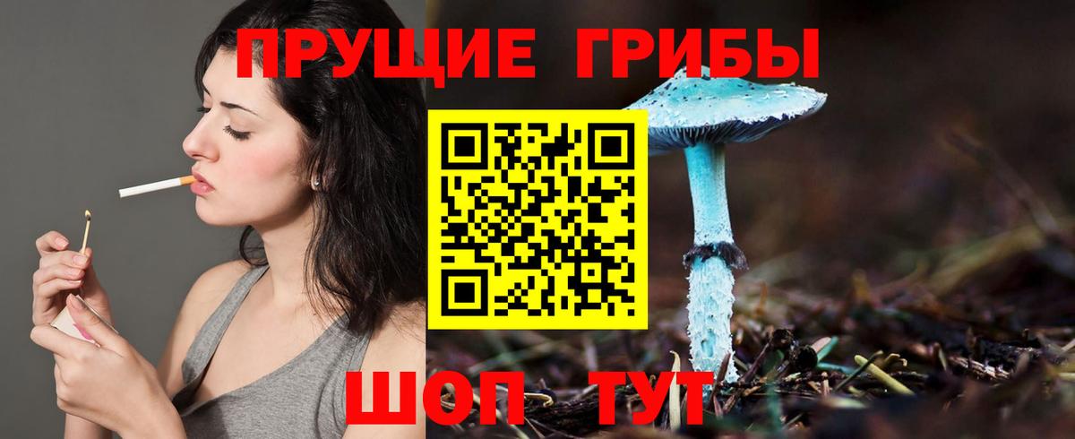 закладки  Псилоцибиновые грибы прущие грибы  Нурлат  Вход с VPN  Галлюциногенные грибы прущие грибы 